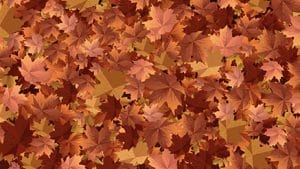 Autumn Breeze corporate holiday business ecard