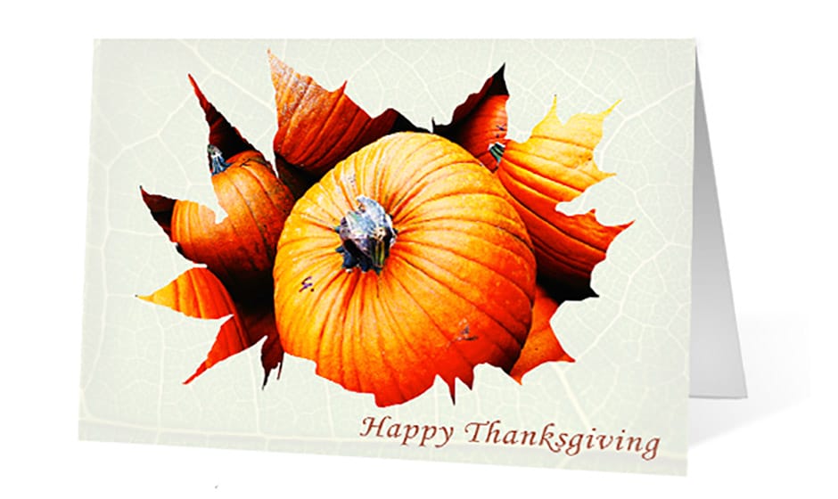 fall expressions corporate holiday greeting card thumbnail