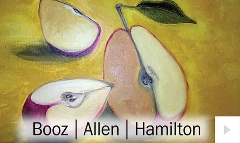 Booz Allen 3 (2015)