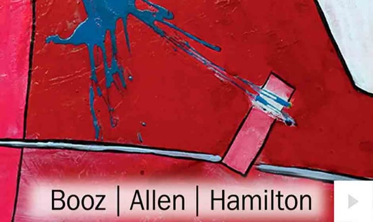 Booz Allen 2 (2015)