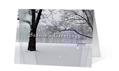 Nature Park Views corporate holiday greeting card thumbnail