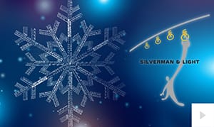 Silverman & Light (2017)