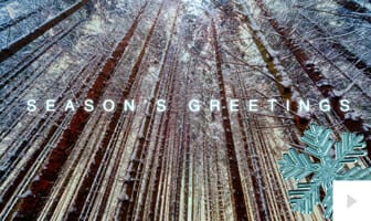 Silent Forest corporate holiday ecard thumbnail