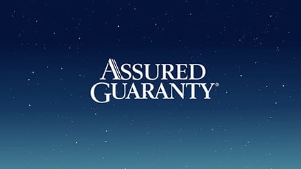 Assured Guaranty (2020)