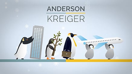 Anderson & Kreiger (2019)