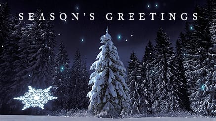 2018 Forest Wish corporate holiday ecard thumbnail