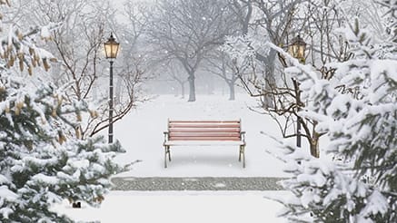 2017 Sunday Morning corporate holiday ecard thumbnail