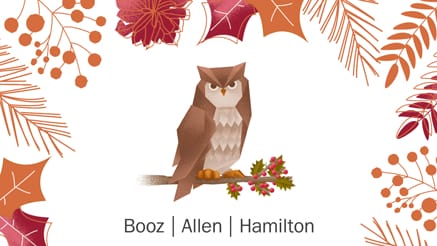 Booz Allen 1 (2017)