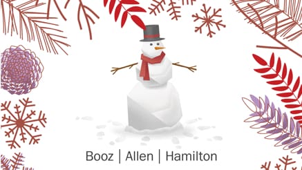 Booz Allen 4 (2017)