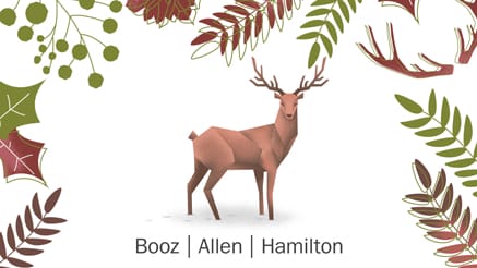 Booz Allen 5 (2017)