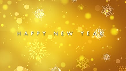 Holiday Burst – New Year