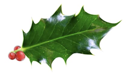 Holiday Holly corporate holiday ecard thumbnail