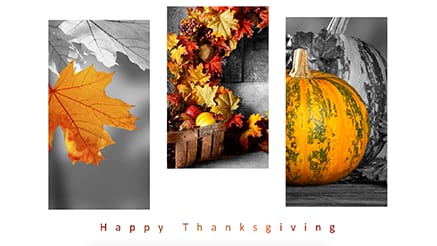 Fall Colors corporate holiday ecard thumbnail