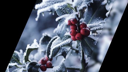 Season’s Views corporate holiday ecard thumbnail