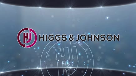 Higgs & Johnson (2022)