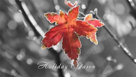 Colorize corporate holiday ecard thumbnail