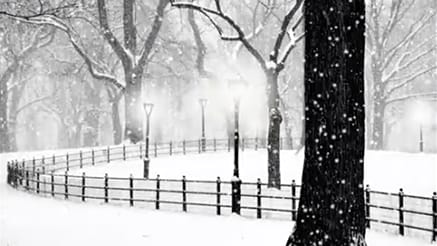 Park Lights corporate holiday ecard thumbnail