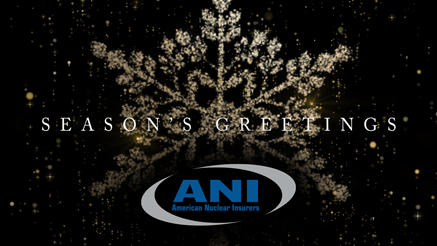 2022 ANI Brilliance corporate holiday ecard thumbnail