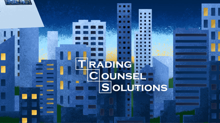 2022 Trading Counsel Solutions Envelope Journey corporate holiday ecard thumbnail