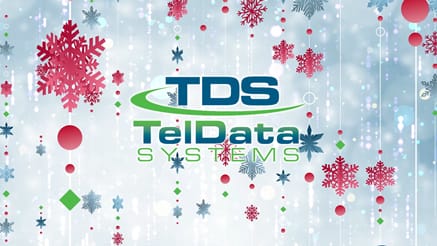 TelData Systems (2020)
