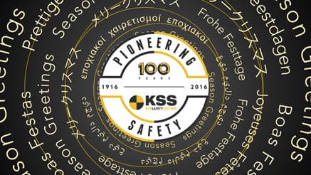 Key Safety (2016)